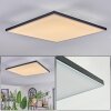 Barullu Plafondlamp, Paneel LED Zwart, Wit, 1-licht