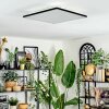 Barullu Plafondlamp, Paneel LED Zwart, Wit, 1-licht