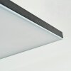Barullu Plafondlamp, Paneel LED Zwart, Wit, 1-licht