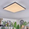 Barullu Plafondlamp, Paneel LED Zwart, Wit, 1-licht