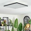 Barullu Plafondlamp, Paneel LED Zwart, Wit, 1-licht