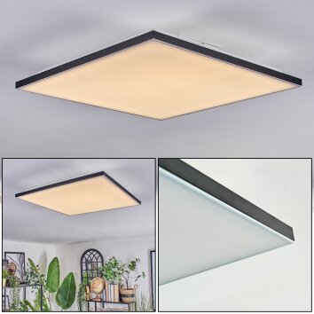 Barullu Plafondlamp, Paneel LED Zwart, Wit, 1-licht