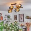 Koyoto Plafondlamp, Kogellampje Goud, Zwart, 8-lichts