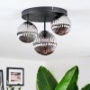 Chehalis Plafondlamp, Kogellampje 30 cm Rookkleurig, 3-lichts