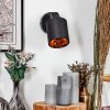 Fallhagen Wandlamp, Muurspot Zwart, 1-licht