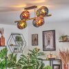 Koyoto Plafondlamp, Kogellampje Goud, Zwart, 8-lichts