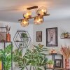 Koyoto Plafondlamp, Kogellampje Goud, Zwart, 8-lichts