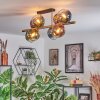 Koyoto Plafondlamp, Kogellampje Goud, Zwart, 8-lichts