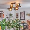 Koyoto Plafondlamp, Kogellampje Goud, Zwart, 8-lichts