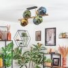 Koyoto Plafondlamp, Kogellampje Goud, Zwart, 8-lichts