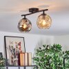 Ripoll Plafondlamp, Kogellampje Amber, Rookkleurig, 2-lichts