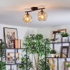 Ripoll Plafondlamp, Kogellampje Amber, 2-lichts