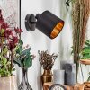 Alsen Wandlamp, Muurspot Zwart, 1-licht