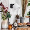 Alsen Wandlamp, Muurspot Zwart, 1-licht