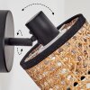 Ramila Wandlamp, Muurspot Zwart, 1-licht