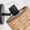 Barcos Wandlamp, Muurspot Zwart, 1-licht