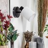 Fallhagen Wandlamp, Muurspot Zwart, 1-licht