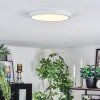 Finsrud Plafondlamp, Paneel LED Wit, 1-licht
