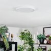 Finsrud Plafondlamp, Paneel LED Wit, 1-licht