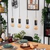 Veria Hanglamp, Hanglamp Messing, Zwart, 4-lichts