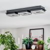 Walon Plafondlamp LED Zwart, 1-licht