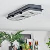 Walon Plafondlamp LED Zwart, 1-licht