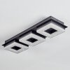 Walon Plafondlamp LED Zwart, 1-licht