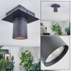 Udena Plafondlamp LED Zwart, 1-licht