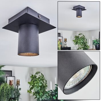 Udena Plafondlamp LED Zwart, 1-licht