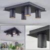 Udena Plafondlamp LED Zwart, 4-lichts