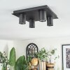 Udena Plafondlamp LED Zwart, 4-lichts