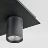 Udena Plafondlamp LED Zwart, 4-lichts