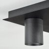 Udena Plafondlamp LED Zwart, 4-lichts