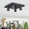 Udena Plafondlamp LED Zwart, 4-lichts