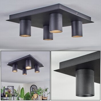 Udena Plafondlamp LED Zwart, 4-lichts