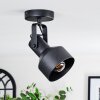Tylar Plafondlamp, Plafondspot Zwart, 1-licht