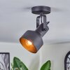 Tylar Plafondlamp, Plafondspot Zwart, 1-licht