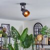 Tylar Plafondlamp, Plafondspot Zwart, 1-licht