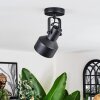 Tylar Plafondlamp, Plafondspot Zwart, 1-licht