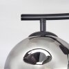 Ripoll Plafondlamp, Kogellampje Rookkleurig, 2-lichts