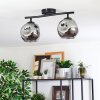 Ripoll Plafondlamp, Kogellampje Rookkleurig, 2-lichts