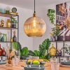 Koyoto Hanglamp, Kogellampje, Hanglamp Goud, 1-licht Koyoto Hanglamp, Kogellampje, Hanglamp Goud, 1-licht
