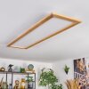 Belan Plafondlamp, Paneel LED Natuurlijke kleuren, Wit, 1-licht