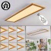 Belan Plafondlamp, Paneel LED Natuurlijke kleuren, Wit, 1-licht, Afstandsbediening