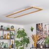 Belan Plafondlamp, Paneel LED Natuurlijke kleuren, Wit, 1-licht, Afstandsbediening
