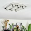 Zamar Plafondlamp LED Chroom, 3-lichts