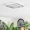 Borin Plafondlamp LED Grijs, Wit, 1-licht