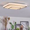 Borin Plafondlamp LED Grijs, Wit, 1-licht