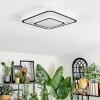Borin Plafondlamp LED Grijs, Wit, 1-licht