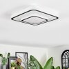 Borin Plafondlamp LED Grijs, Wit, 1-licht